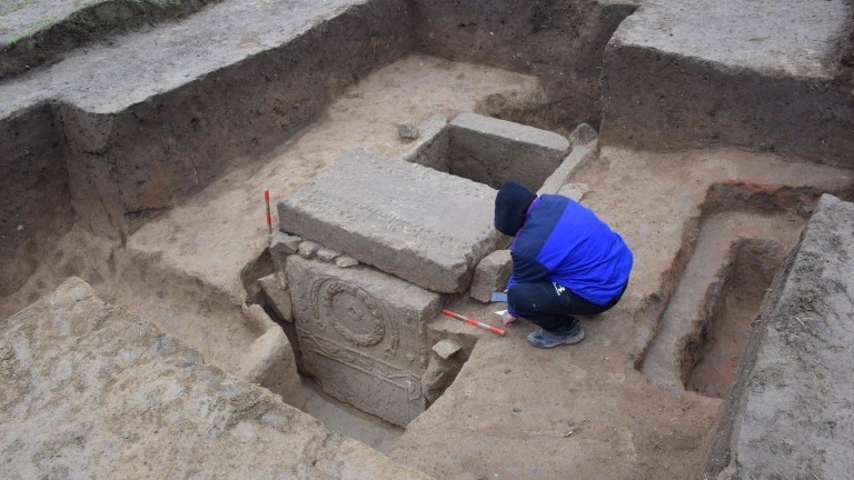 Изкорениха дърво и откриха древна гробница в Свищов 
