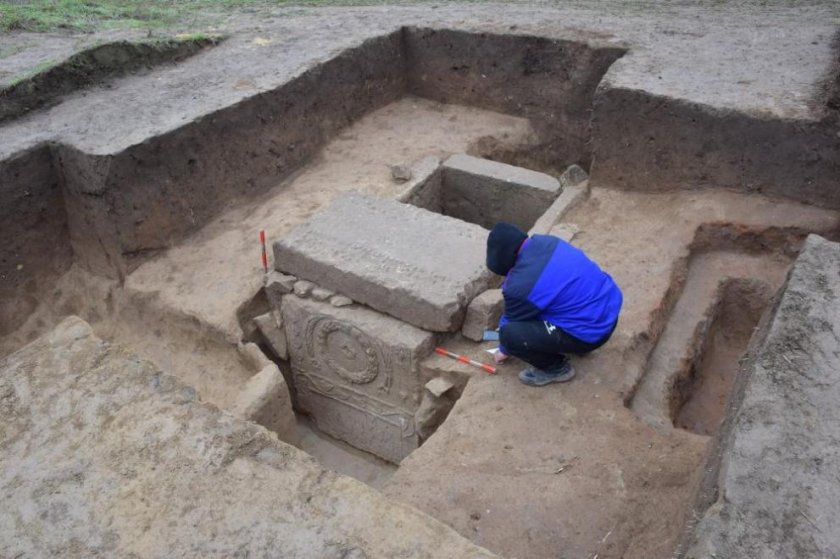При изкореняване на дърво: Мъж откри римска гробница  в Свищов
