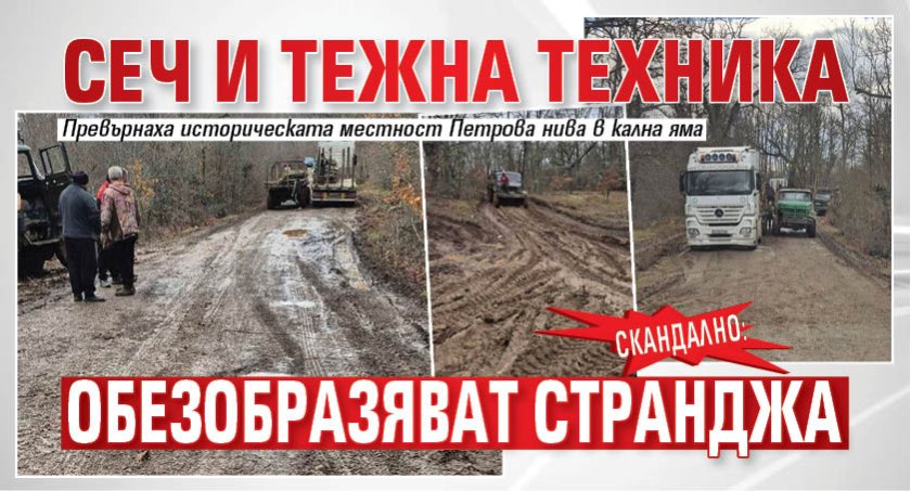 СКАНДАЛНО: Сеч и тежна техника обезобразяват Странджа (СНИМКИ)