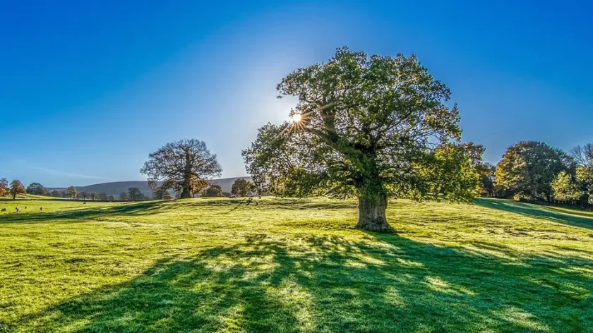 Март стартира със слънце и пролетни температури