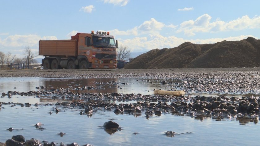 Кой е Росен &bdquo;Боклука&ldquo;, който иска 300 000 лева &bdquo;такса спокойствие&ldquo;?