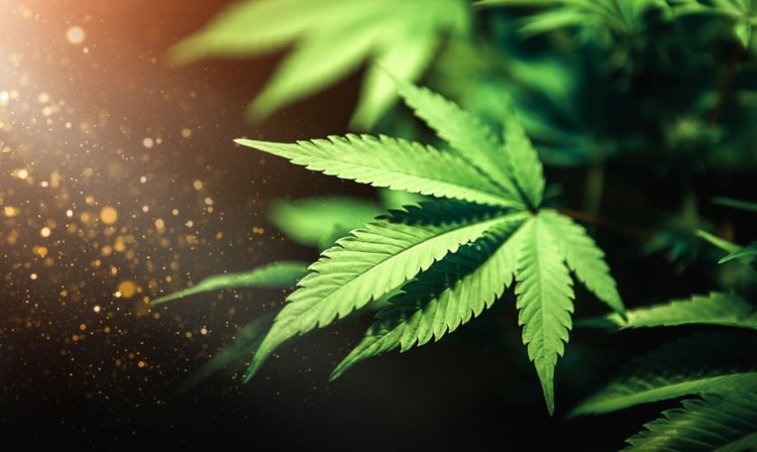 29-годишен е установен с наркотично вещество