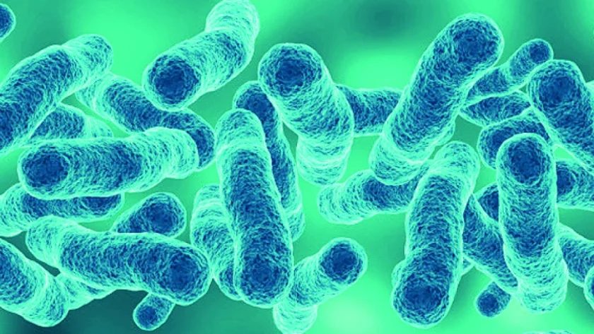 Легионерска болест се появи у нас