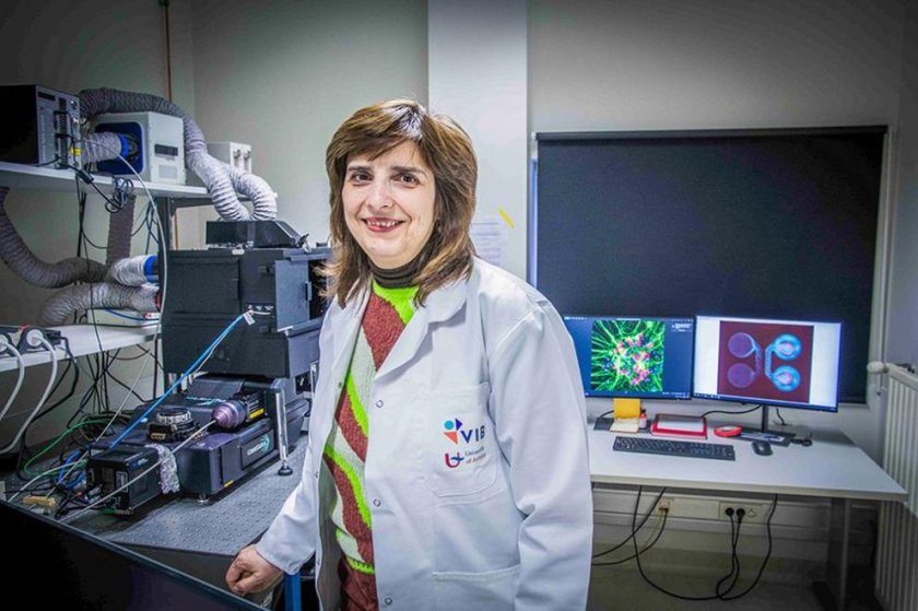 Български учен спечели престижна награда от 1 млн. евро за новаторски изследвания