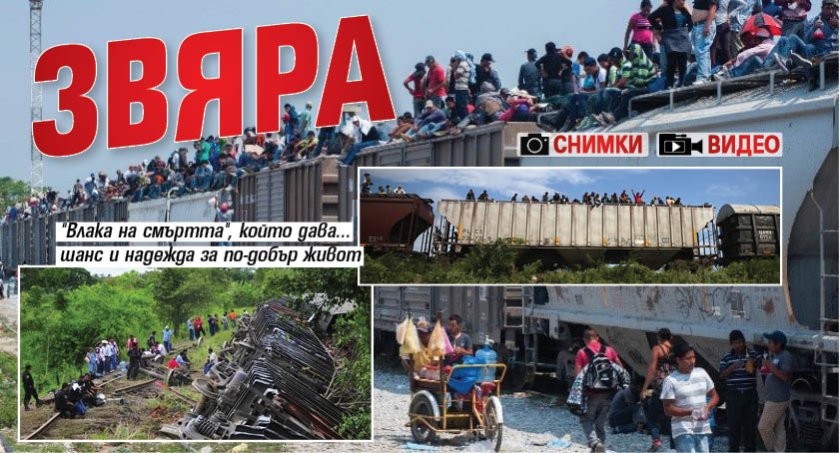 Звяра (СНИМКИ И ВИДЕО)