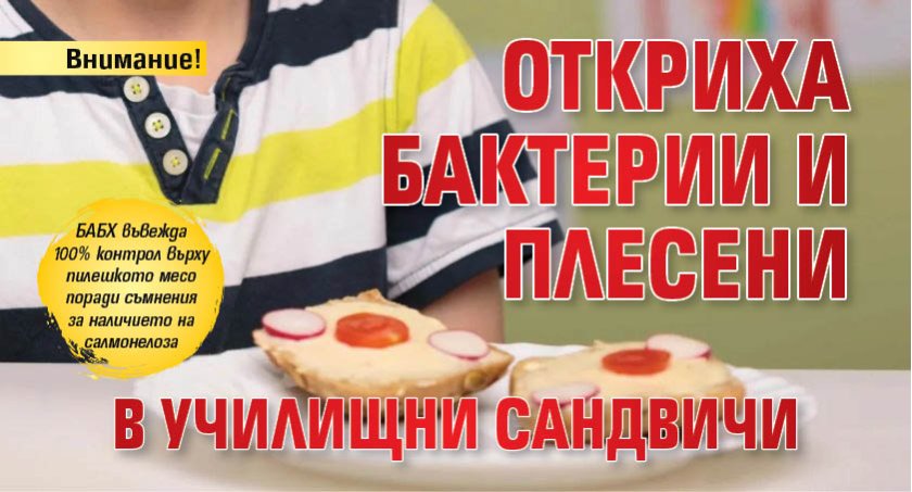 Внимание! Откриха бактерии и плесени в училищни сандвичи
