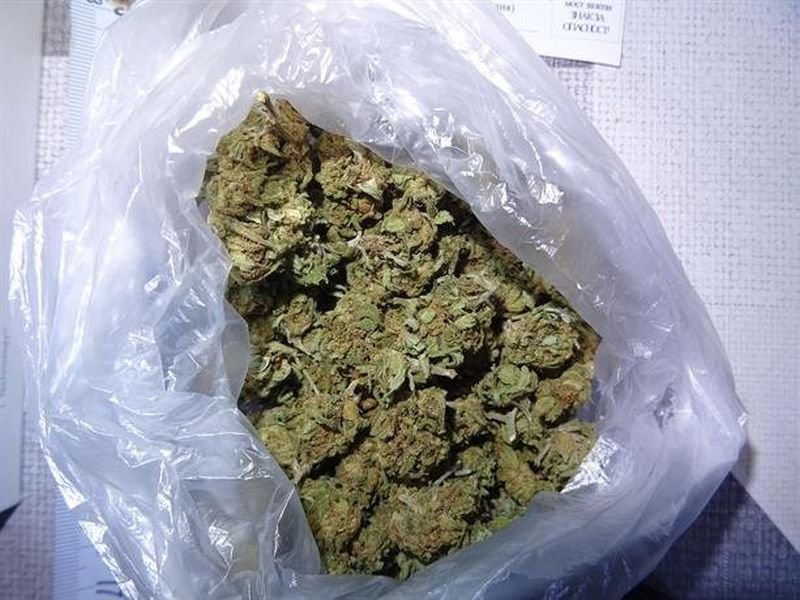 Задържаха мъж от Искрец с канабис и амфетамин след полицейска акция