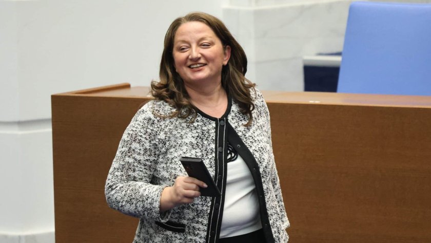 Сачева: Социалната работа не се вижда, но без нея обществото се разпада
