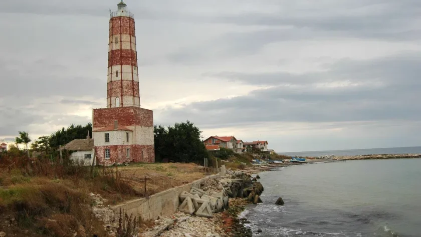 След мъртвите албатроси, морето край Шабла изхвърли и два делфина