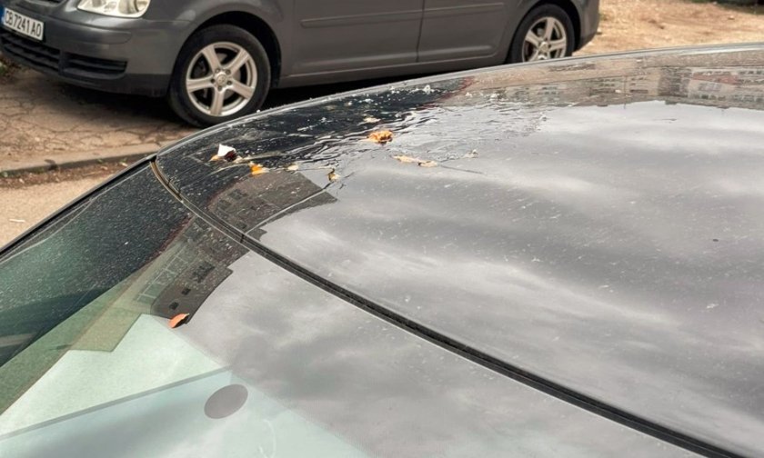 Борба за паркомясто: Софиянци мажат с яйца колите на "пришълците от провинцията" (СНИМКИ)