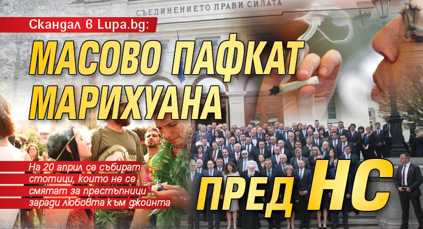 Скандал в Lupa.bg: Масово пафкат марихуана пред НС