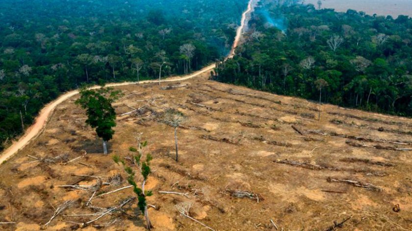 Обезлесяването на бразилската Амазония се е увеличило с 85% през 2019 г.