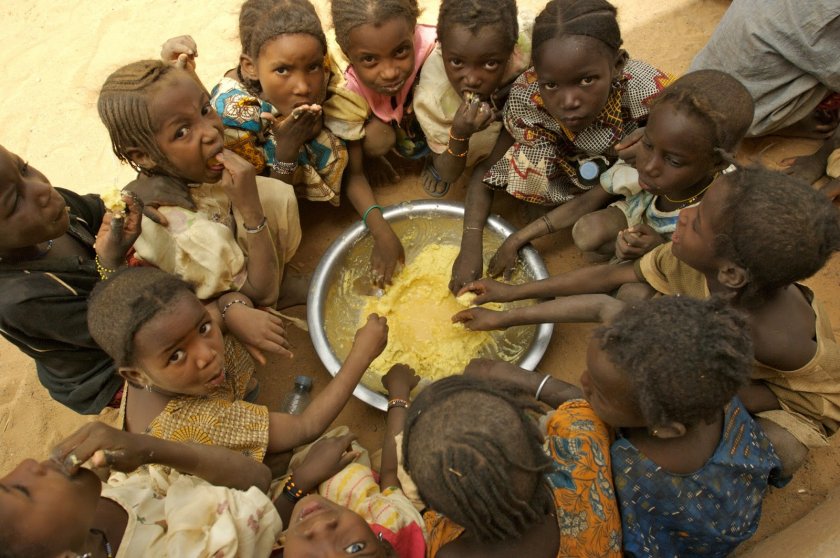 ООН бие тревога за голям глад в Южна Африка