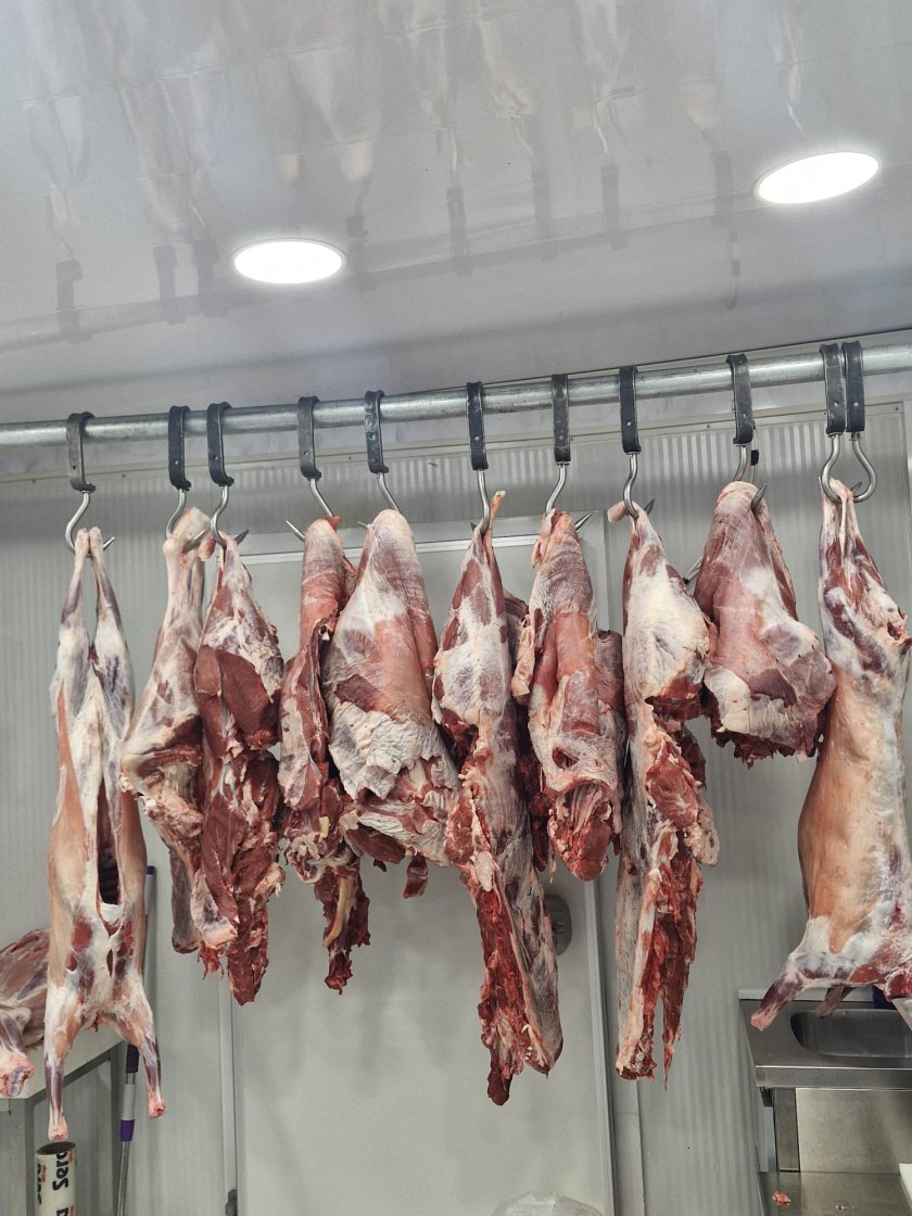 Незаконни кланици край Кърджали: Тонове месо без контрол стигнало до пазара