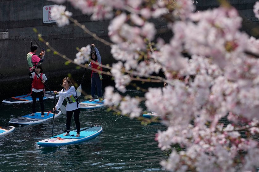 Японците се отказват от дългогодишна традиция заради скока в цените