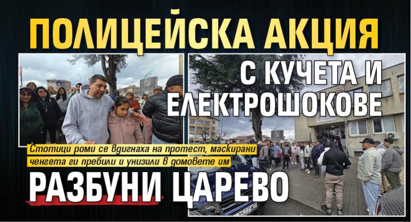 Полицейска акция с кучета и електрошок разбуни Царево