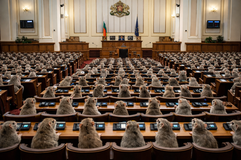 Седмицата: За мишките на хората в парламента