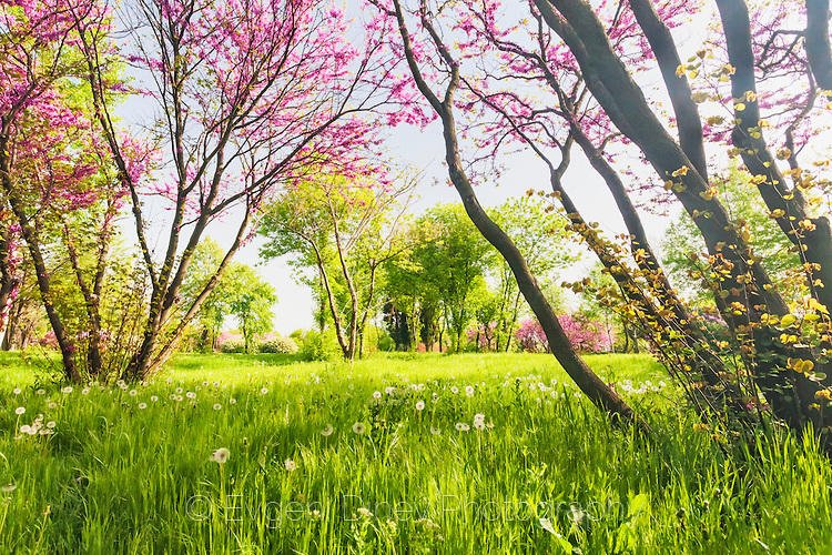 Най-накрая! Дъждът спира, слънцето изгрява утре