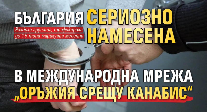 България сериозно намесена в международна мрежа &bdquo;оръжия срещу канабис&ldquo; 