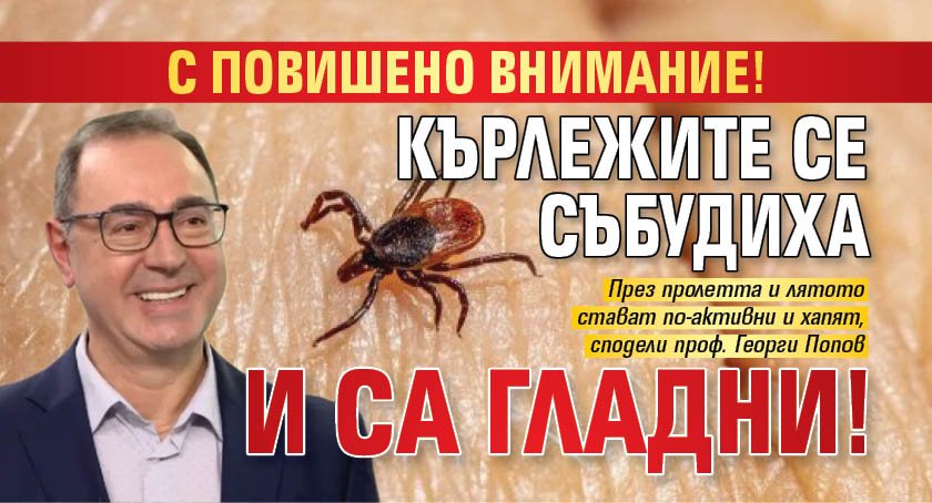 С повишено внимание! Кърлежите се събудиха и са гладни!