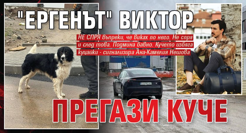 "Ергенът" Виктор прегази куче