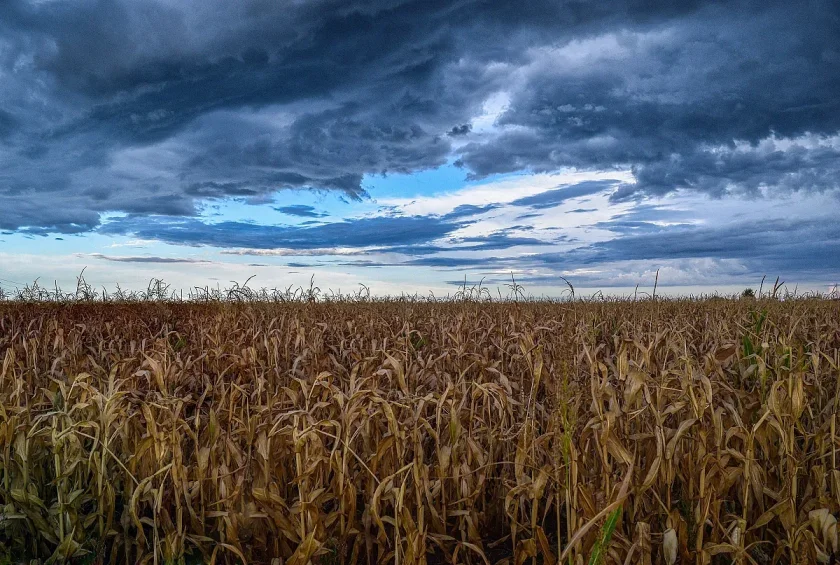 Изследовател: Най-богатата почва в Слънчевата система е в нашия Северозапад