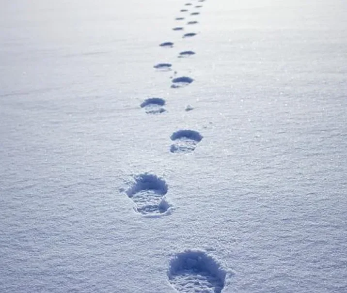 Рекорд: 333 см сняг натрупа на връх Ботев