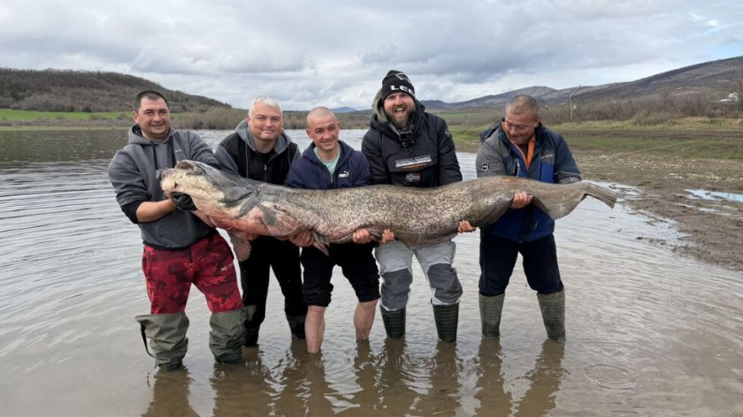 Уловиха гигантски сом от близо 2,5 м в язовир &bdquo;Огоста&rdquo;