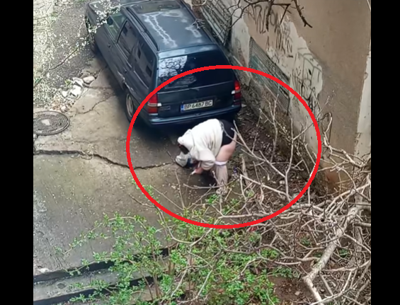 Гнусно: Жена си свали гащите и се "изтропа" в центъра на Враца (Видео)