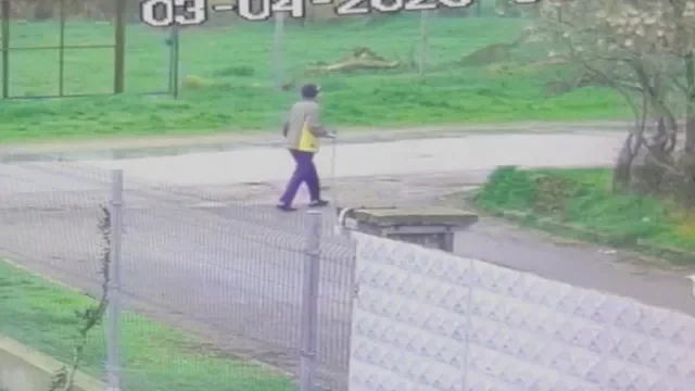  50 доброволци издирват 79-годишната Танка Манова от село Ръжена