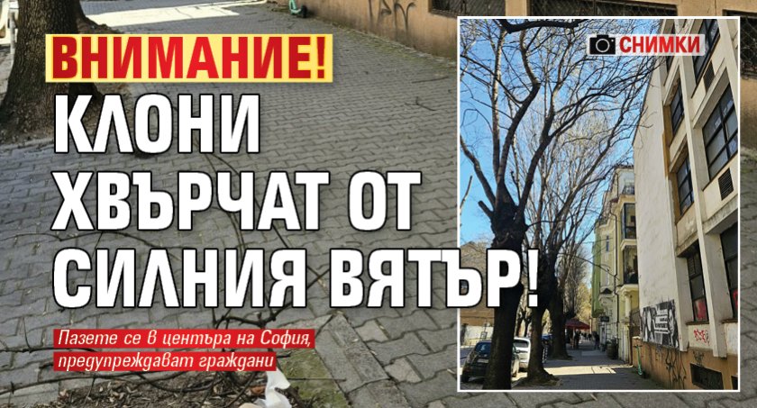 ВНИМАНИЕ! Клони хвърчат от силния вятър! (СНИМКИ)