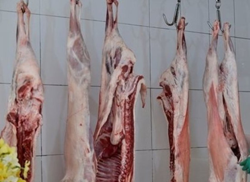 БАБХ издирва 800 заклани агнета