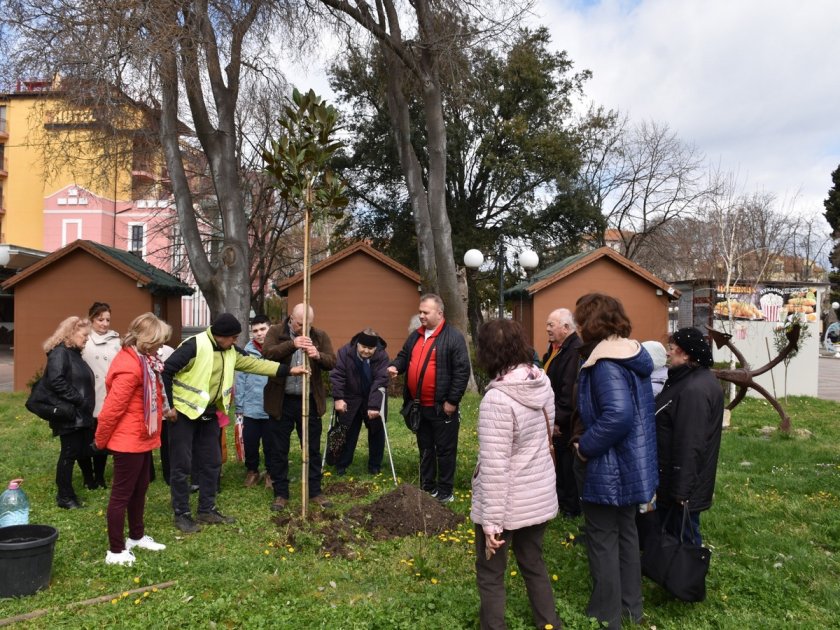 Залесяват Поморие в Седмицата на гората