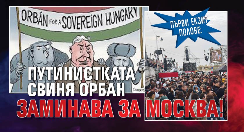 Първи екзит полове: Путинистката свиня Орбан заминава за Москва!