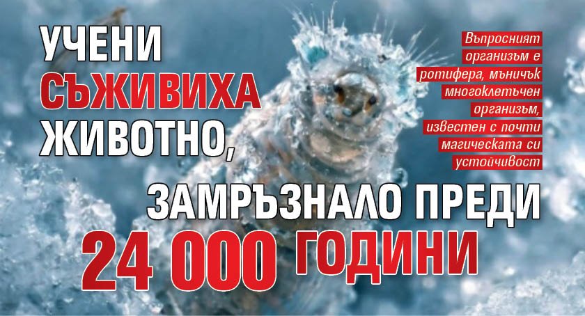 Учени съживиха животно, замръзнало преди 24 000 години