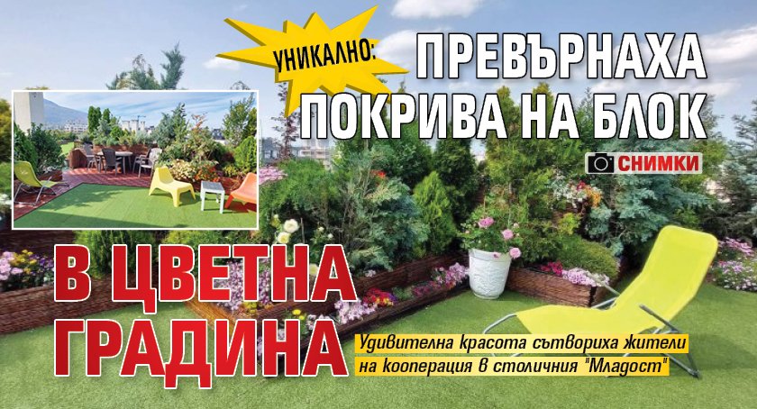 УНИКАЛНО: Превърнаха покрива на блок в цветна градина (СНИМКИ) 