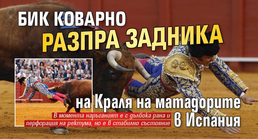 Бик коварно разпра задника на Краля на матадорите в Испания