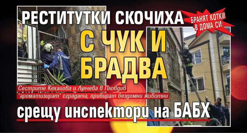 Бранят котки в дома си: Реститутки скочиха с чук и брадва срещу инспектори на БАБХ 