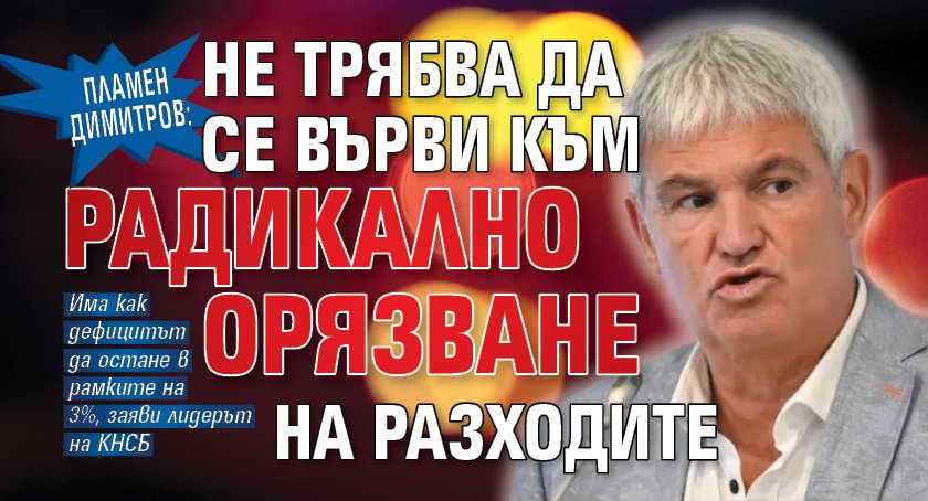Пламен Димитров: Не трябва да се върви към радикално орязване на разходите