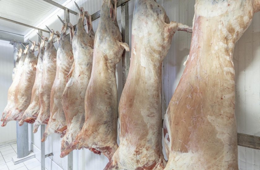 Агнешкото за Гергьовден между 15 и 18 евро за кило