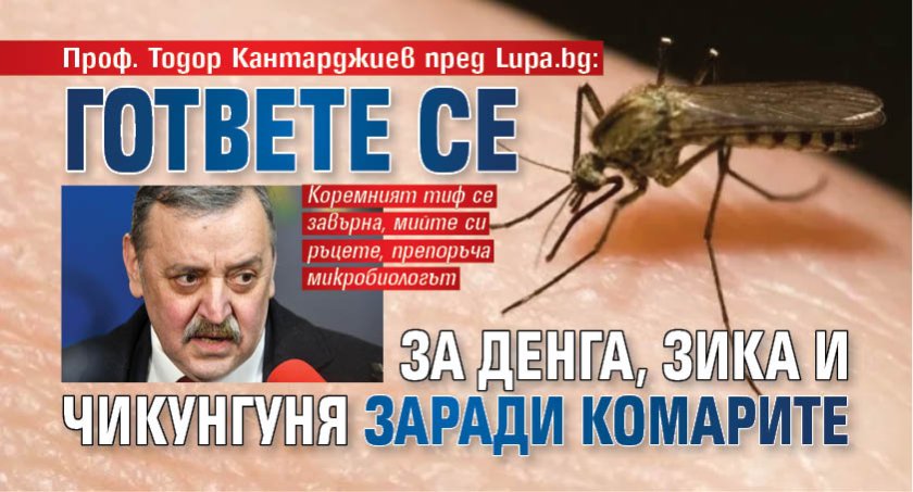 Проф. Тодор Кантарджиев пред Lupa.bg: Гответе се за денга, зика и чикунгуня заради комарите
