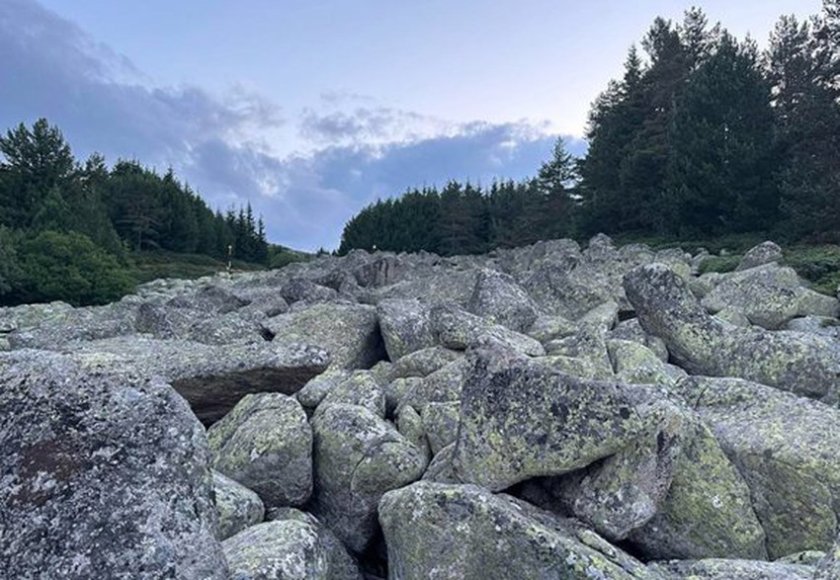 Екоминистърът оттегли новия план за Витоша