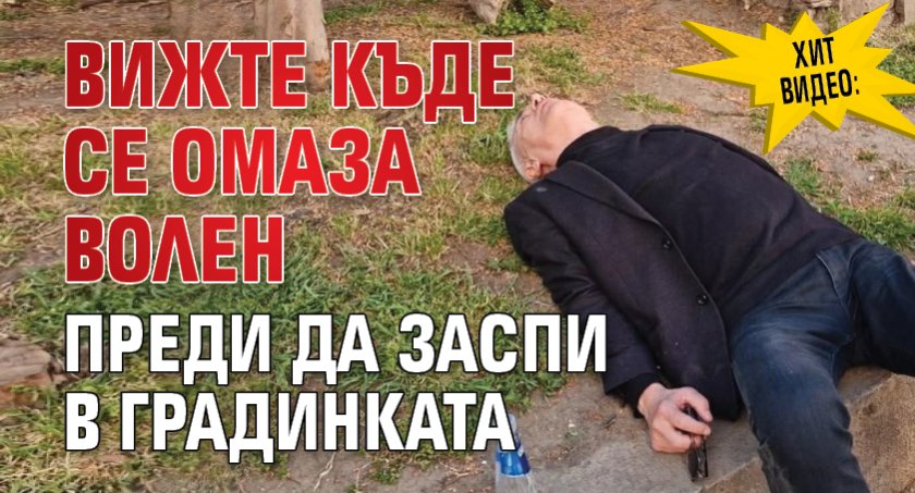 ХИТ ВИДЕО: Вижте къде се омаза Волен преди да заспи в градинката