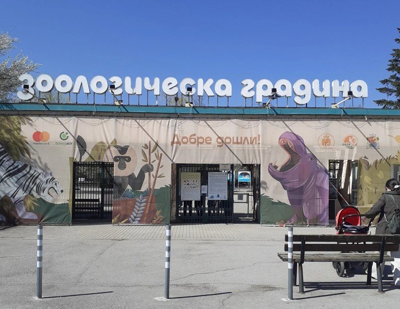 Бой пред Софийския зоопарк, жена пазила паркомясто с тялото си