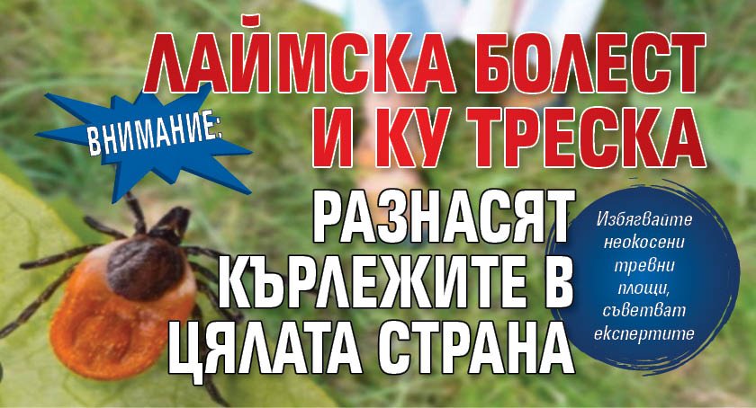 Внимание: Лаймска болест и ку треска разнасят кърлежите в цялата страна