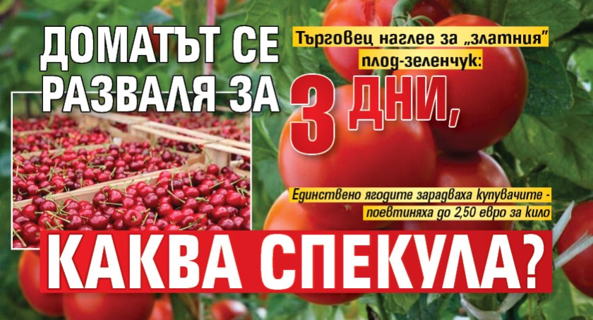 Търговец наглее за &bdquo;златния&rdquo; плод-зеленчук: Доматът се разваля за 3 дни, каква спекула?