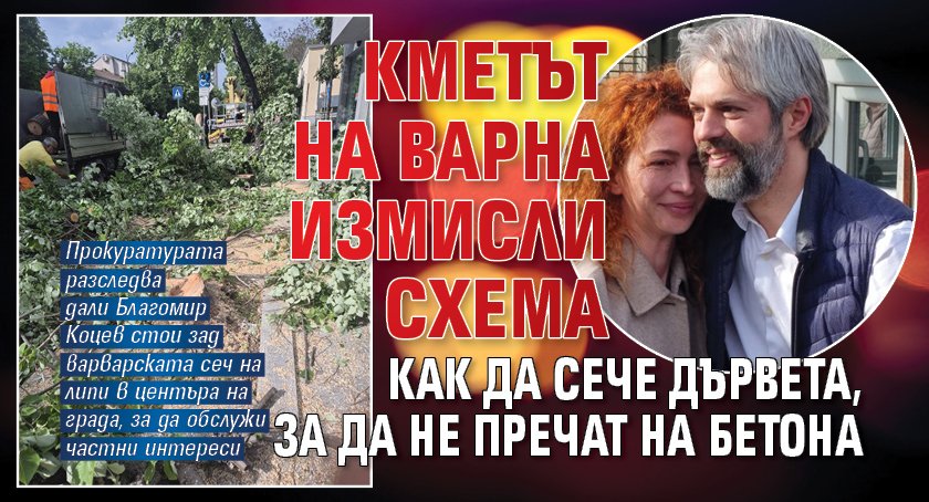 Кметът на Варна измисли схема как да сече дървета, за да не пречат на бетона