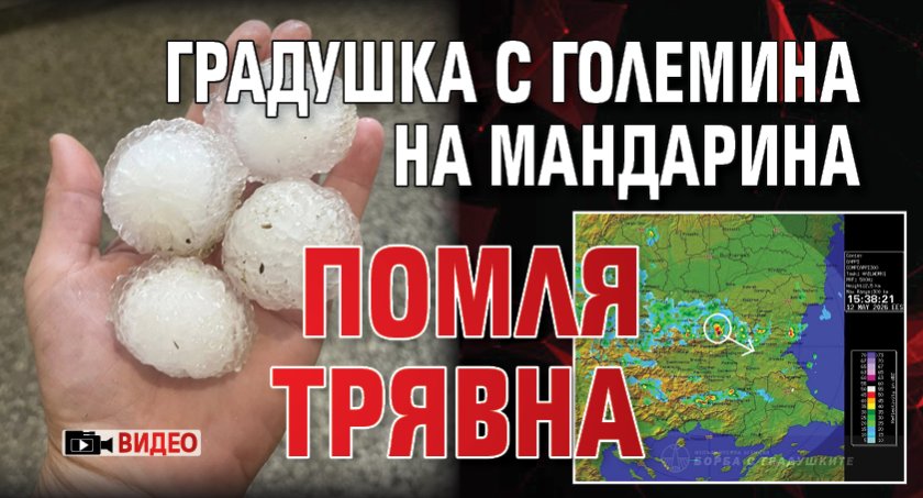 Градушка с големина на мандарина помля Трявна (ВИДЕО)