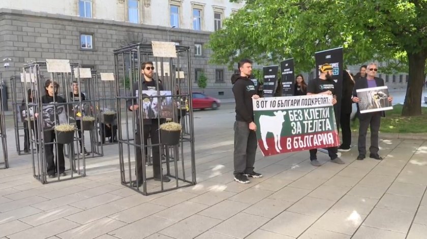 Хора в клетки протестират пред парламента (СНИМКИ)