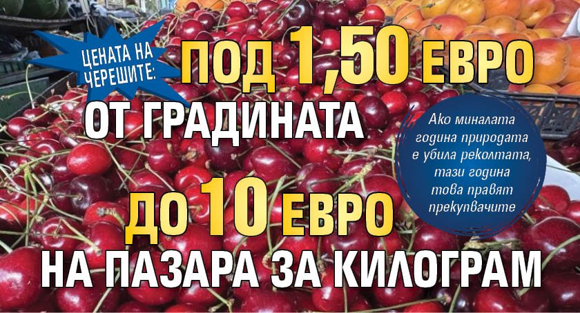 Цената на черешите: Под 1,50 евро от градината до 10 евро на пазара за килограм